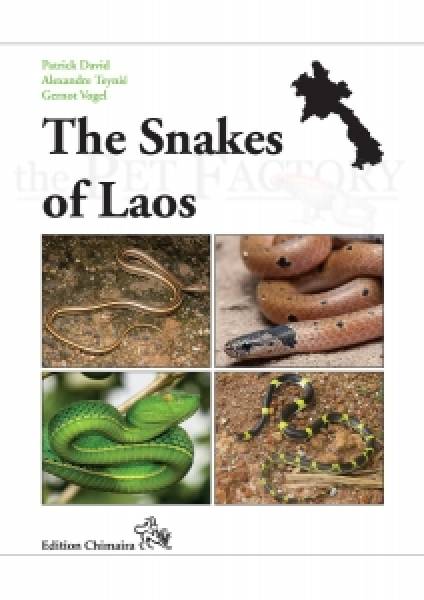 The Snake of Laos